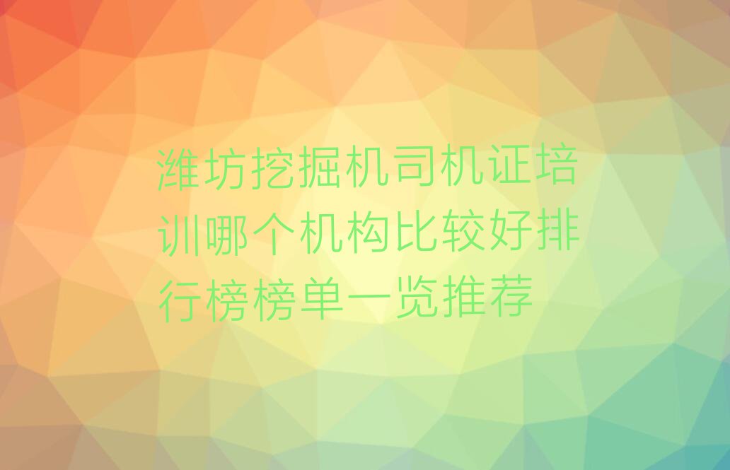 潍坊挖掘机司机证培训哪个机构比较好排行榜榜单一览推荐