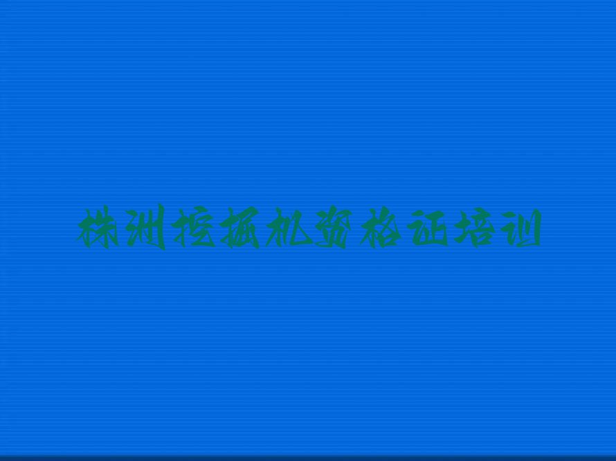 株洲渌口区零基础学挖掘机资格证排行榜榜单一览推荐