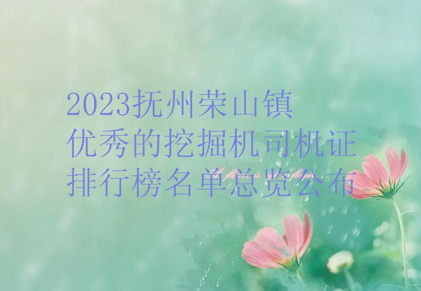 2023抚州荣山镇优秀的挖掘机司机证排行榜名单总览公布