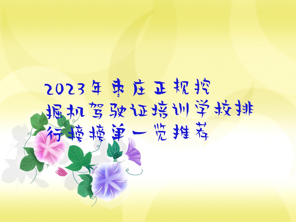 2023年枣庄正规挖掘机驾驶证培训学校排行榜榜单一览推荐