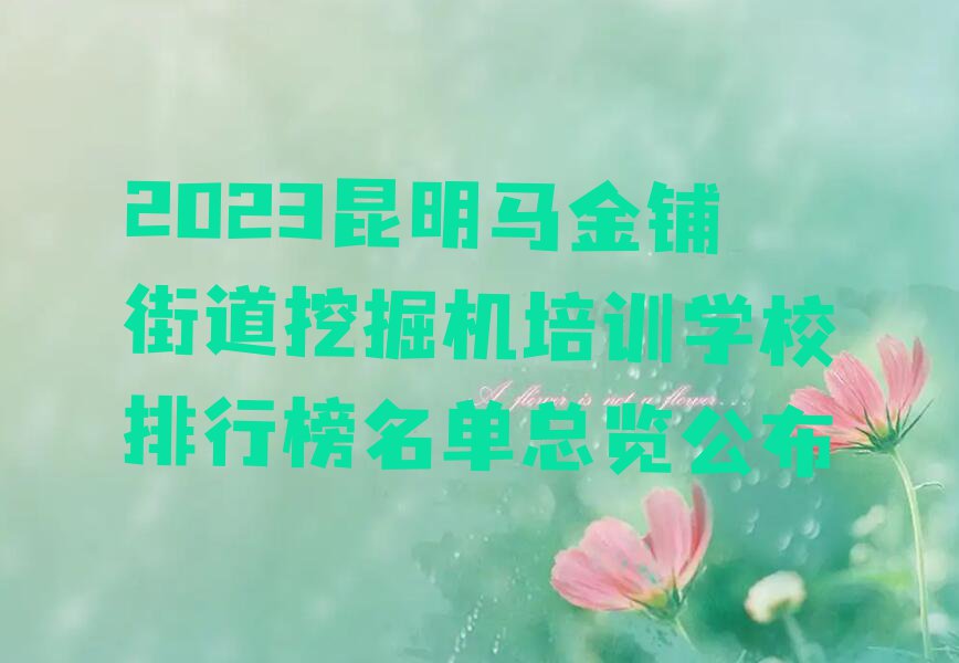 2023昆明马金铺街道挖掘机培训学校排行榜名单总览公布