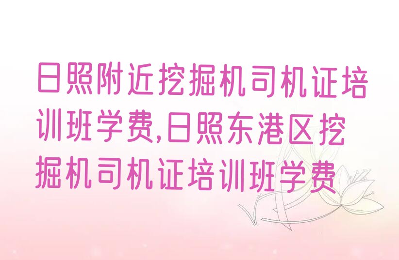 日照附近挖掘机司机证培训班学费,日照东港区挖掘机司机证培训班学费