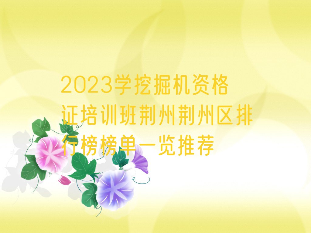 2023学挖掘机资格证培训班荆州荆州区排行榜榜单一览推荐