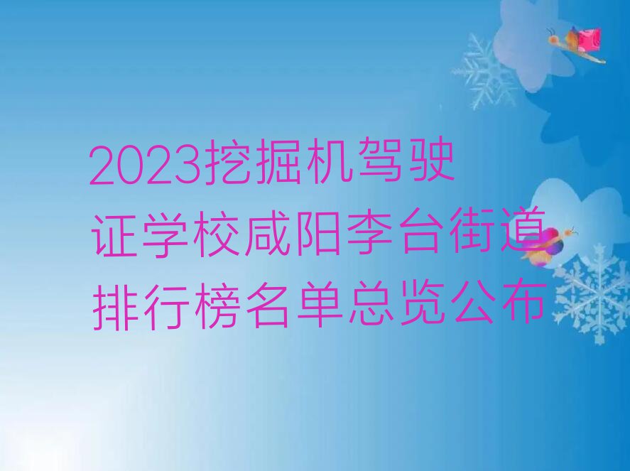 2023挖掘机驾驶证学校咸阳李台街道排行榜名单总览公布