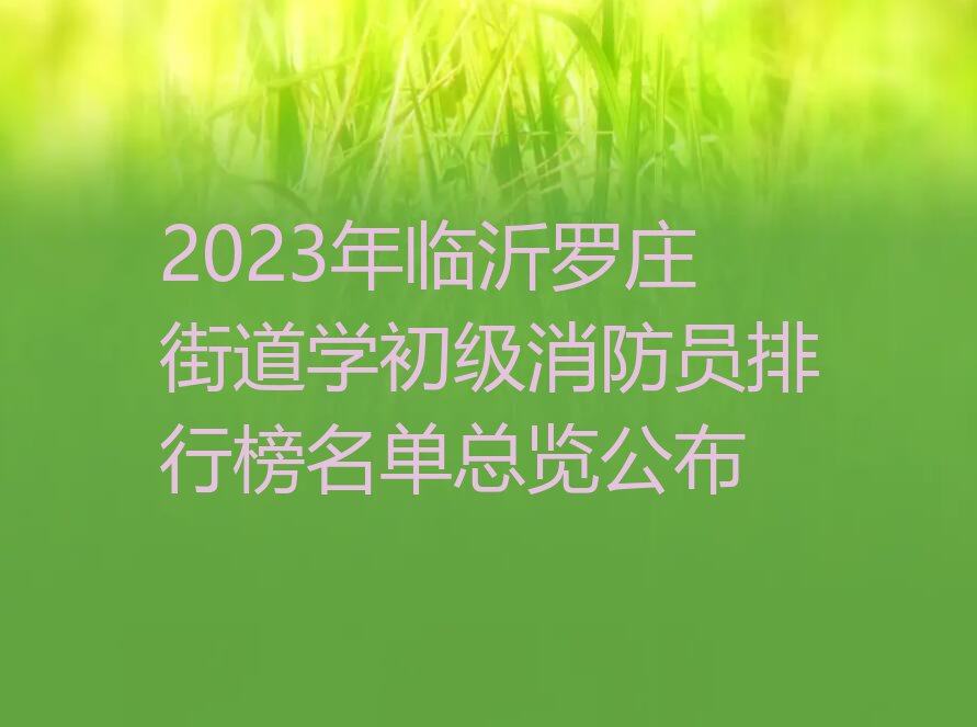 2023年临沂罗庄街道学初级消防员排行榜名单总览公布