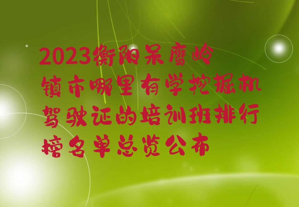 2023衡阳呆鹰岭镇市哪里有学挖掘机驾驶证的培训班排行榜名单总览公布