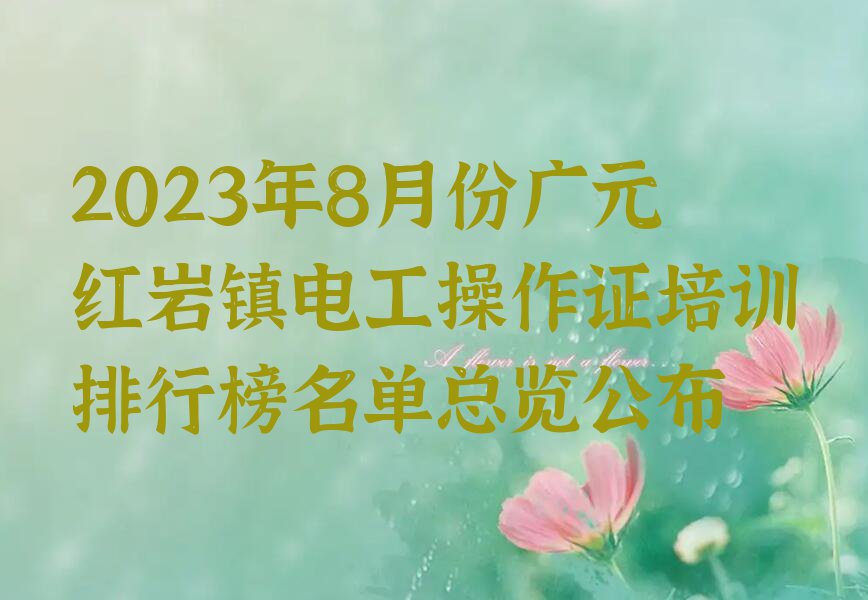 2023年8月份广元红岩镇电工操作证培训排行榜名单总览公布