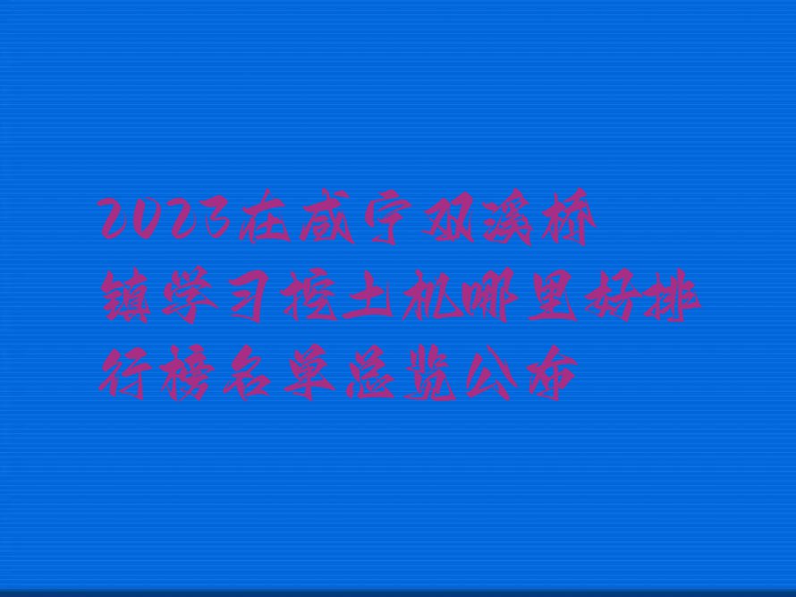 2023在咸宁双溪桥镇学习挖土机哪里好排行榜名单总览公布