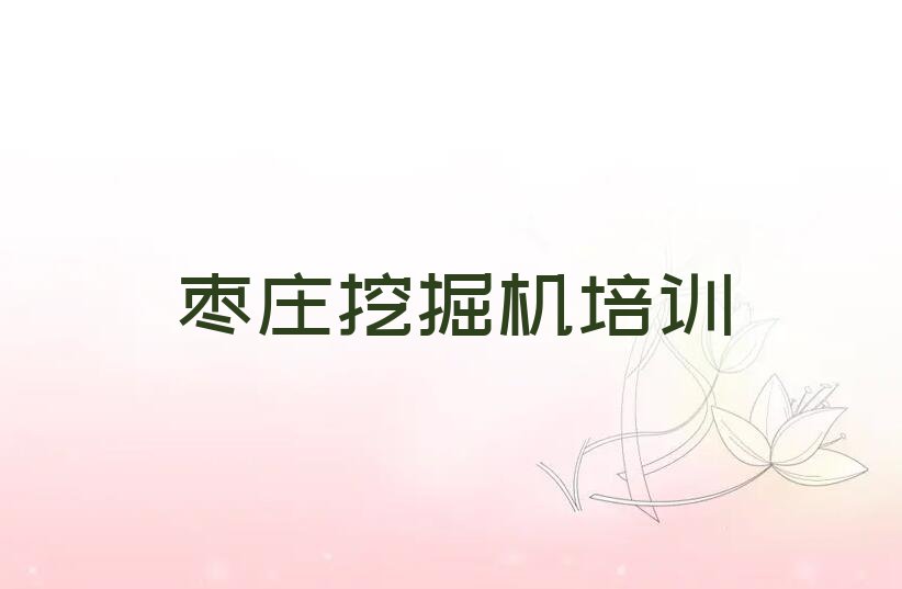 2023年枣庄台儿庄区挖掘机学校培训班排行榜名单总览公布