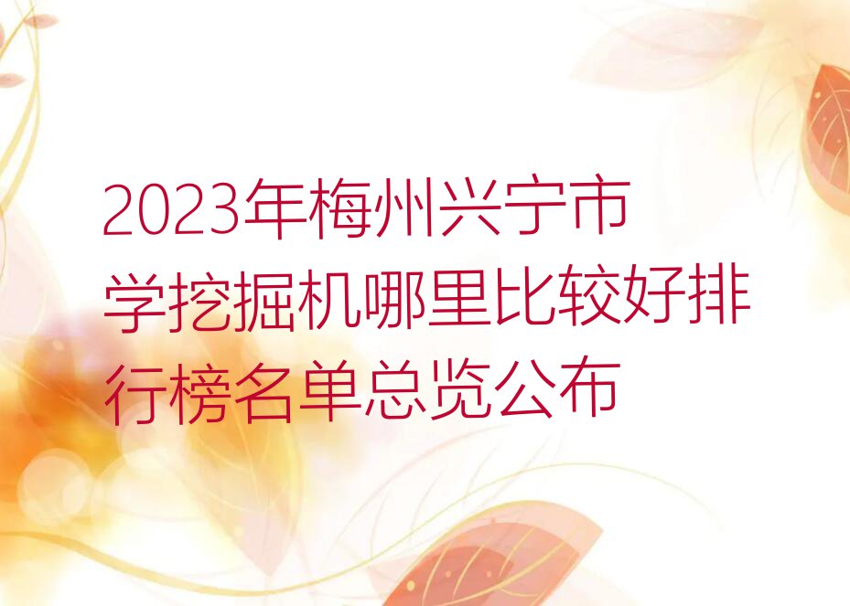 2023年梅州兴宁市学挖掘机哪里比较好排行榜名单总览公布