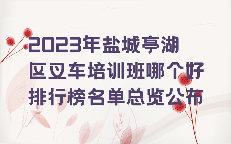 2023年盐城亭湖区叉车培训班哪个好排行榜名单总览公布