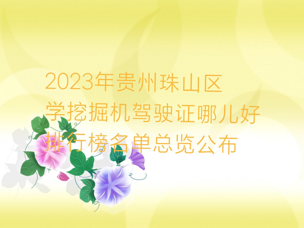 2023年贵州珠山区学挖掘机驾驶证哪儿好排行榜名单总览公布