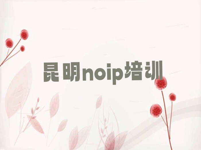 昆明附近去哪学noip,昆明盘龙区去哪学noip