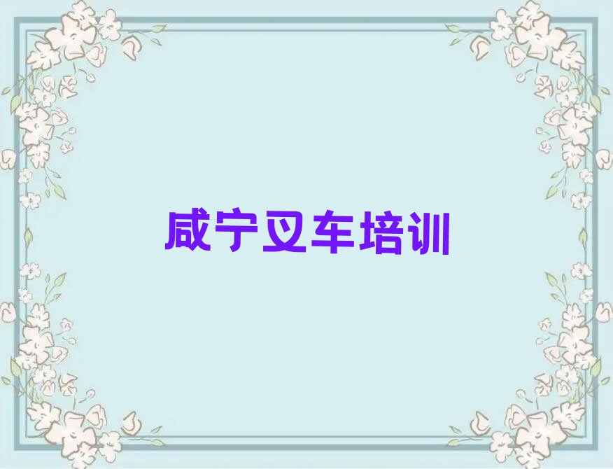 2023咸宁咸安区双溪桥镇叉车培训排行榜名单总览公布