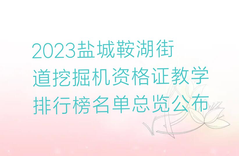 2023盐城鞍湖街道挖掘机资格证教学排行榜名单总览公布