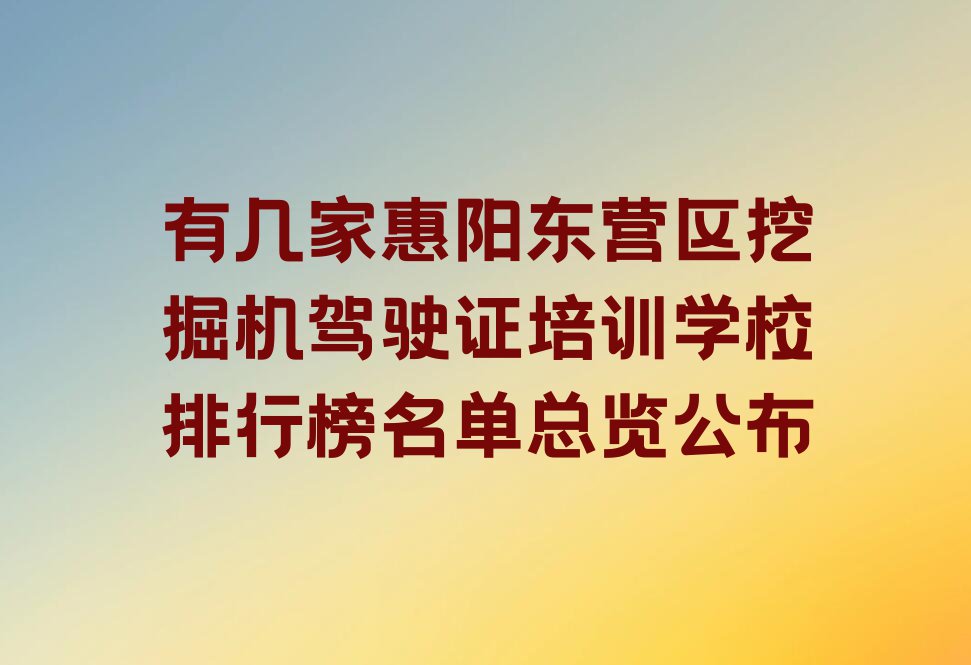 有几家惠阳东营区挖掘机驾驶证培训学校排行榜名单总览公布