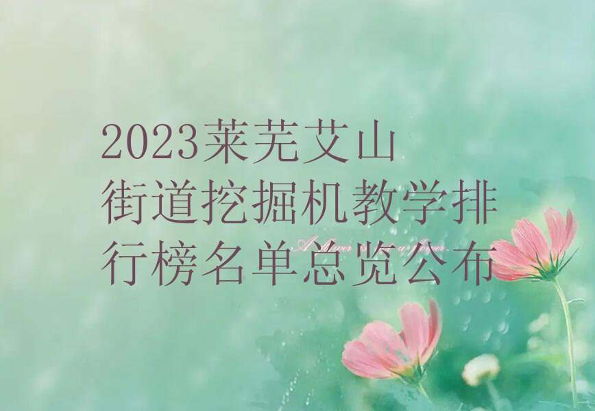 2023莱芜艾山街道挖掘机教学排行榜名单总览公布