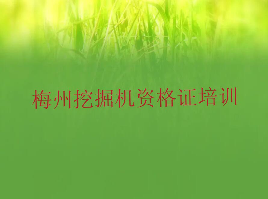 2023梅州梅江区挖掘机资格证培训机构名单排行榜今日推荐