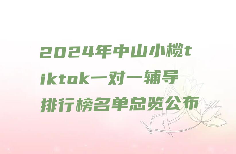 2024年中山小榄tiktok一对一辅导排行榜名单总览公布