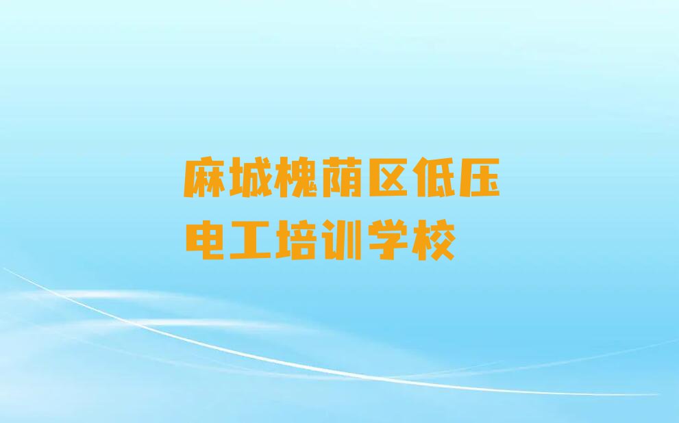 2024年麻城槐荫区哪学低压电工好排行榜名单总览公布