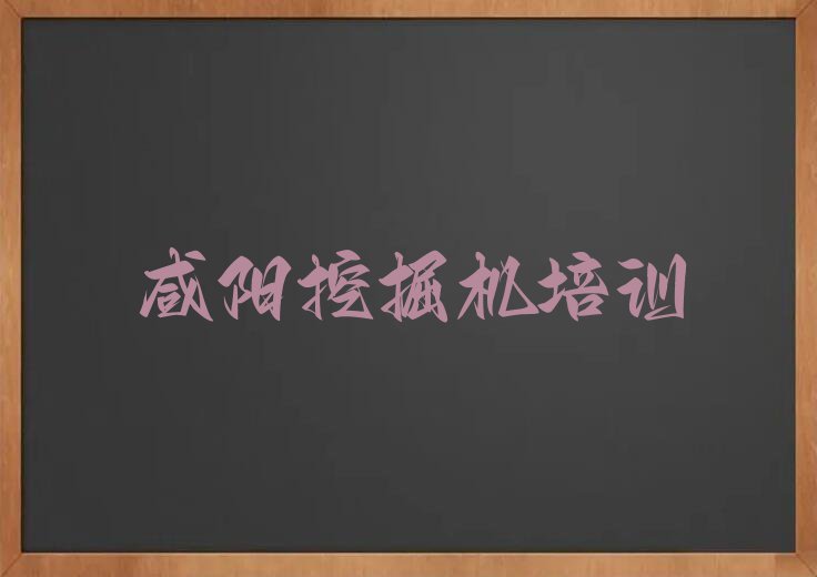 2024年咸阳大寨街道挖掘机驾驶证培训班有哪些排行榜按口碑排名一览表