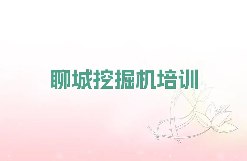 2024年下半年聊城博平镇挖土机学校价位排行榜名单总览公布