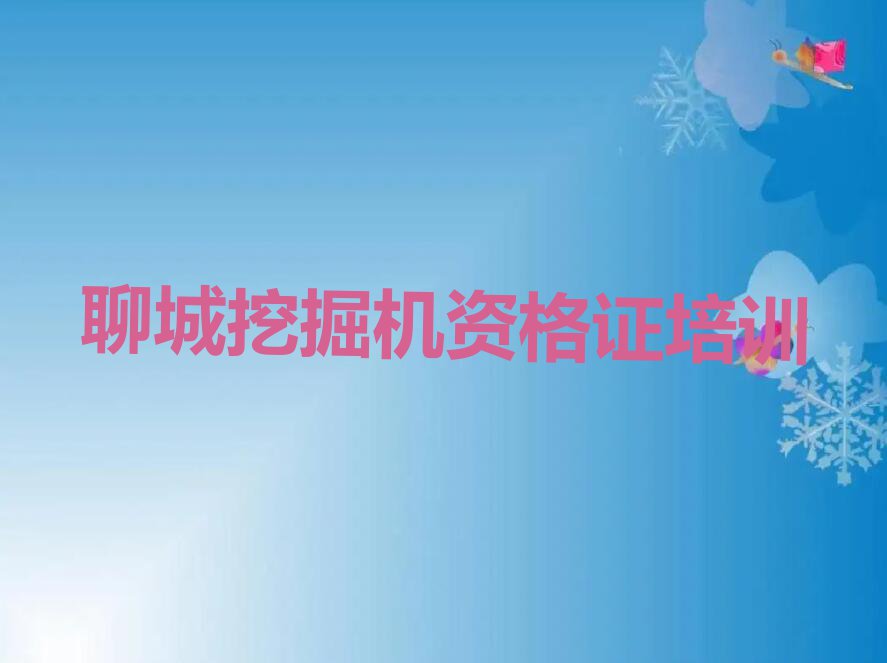 2024聊城哪里有挖掘机资格证学,聊城临清市哪里有挖掘机资格证