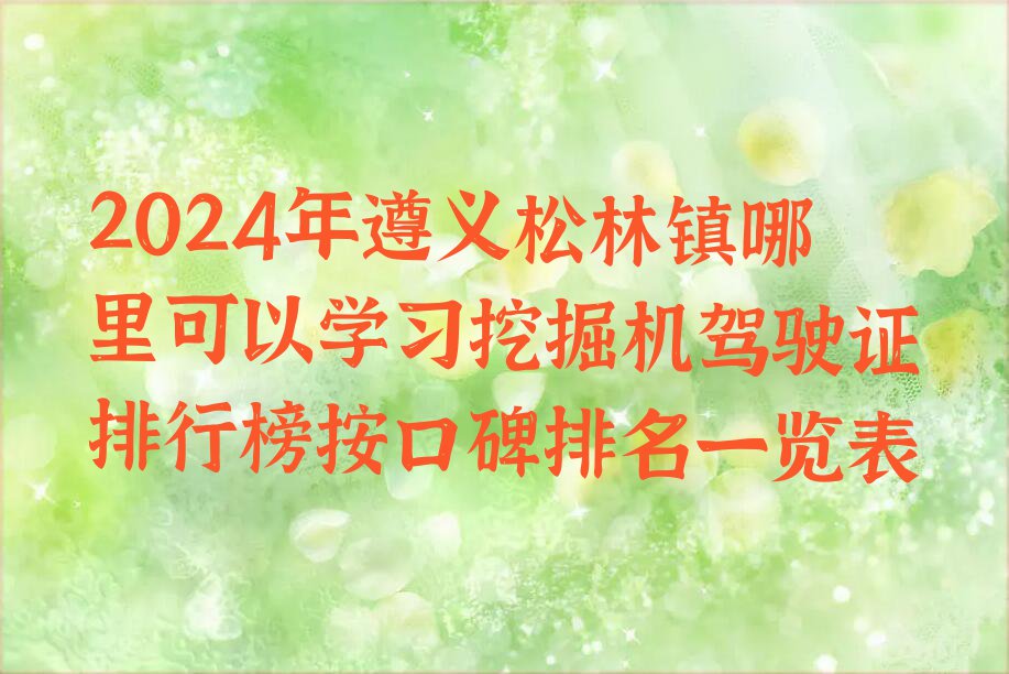 2024年遵义松林镇哪里可以学习挖掘机驾驶证排行榜按口碑排名一览表