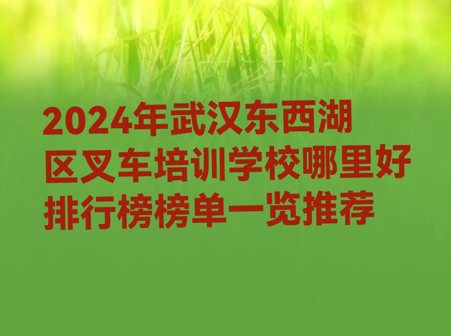 2024年武汉东西湖区叉车培训学校哪里好排行榜榜单一览推荐