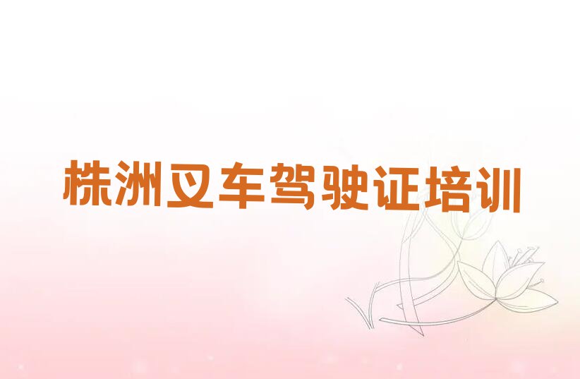 2024株洲哪个学校培训叉车驾驶证排行榜榜单一览推荐