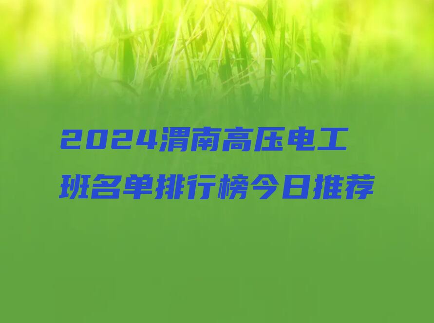 2024渭南高压电工班名单排行榜今日推荐