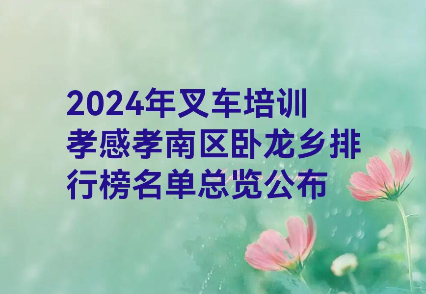 2024年叉车培训孝感孝南区卧龙乡排行榜名单总览公布