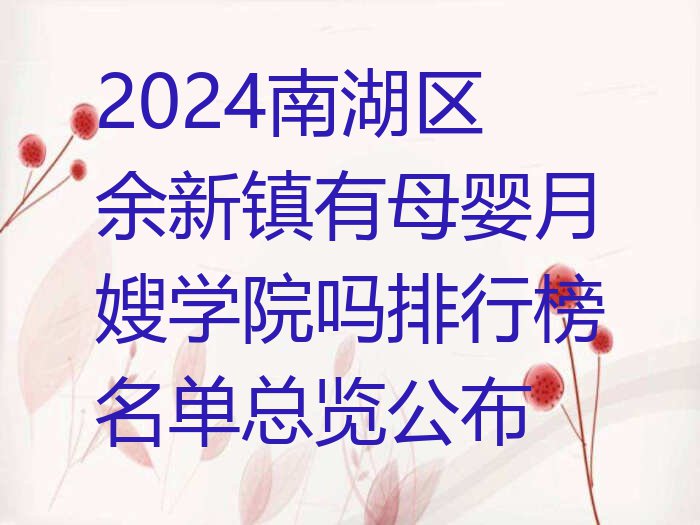 2024南湖区余新镇有母婴月嫂学院吗排行榜名单总览公布