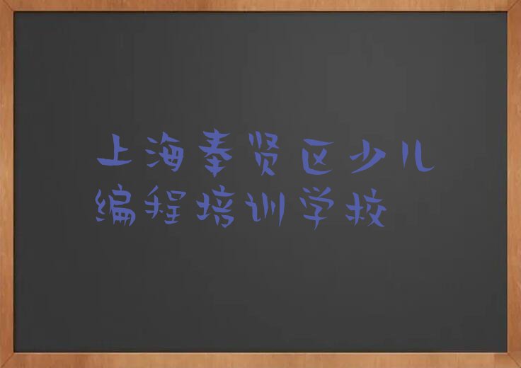 2024上海奉贤区哪里可以学小孩编程,上海奉贤区哪里可以学小孩编程